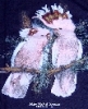 Cockatoo - Gooses Australien T-Shirt
