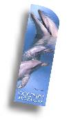 Bookmark "Dolphins"