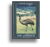 Photo Magnet "Emu"
