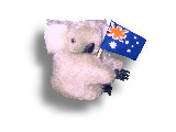 Koala Clingy - Australien Flagge - Klammerkoala