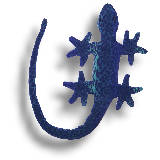 Sandtier "Long Tail Gecko"