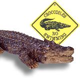 Crocodile - Krokodil - Garten Deko - Australien