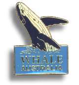 Metall Badge "Whale"